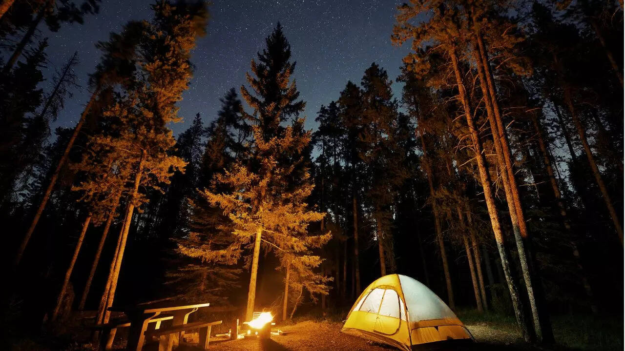 You can also go camping on Credit Canva here