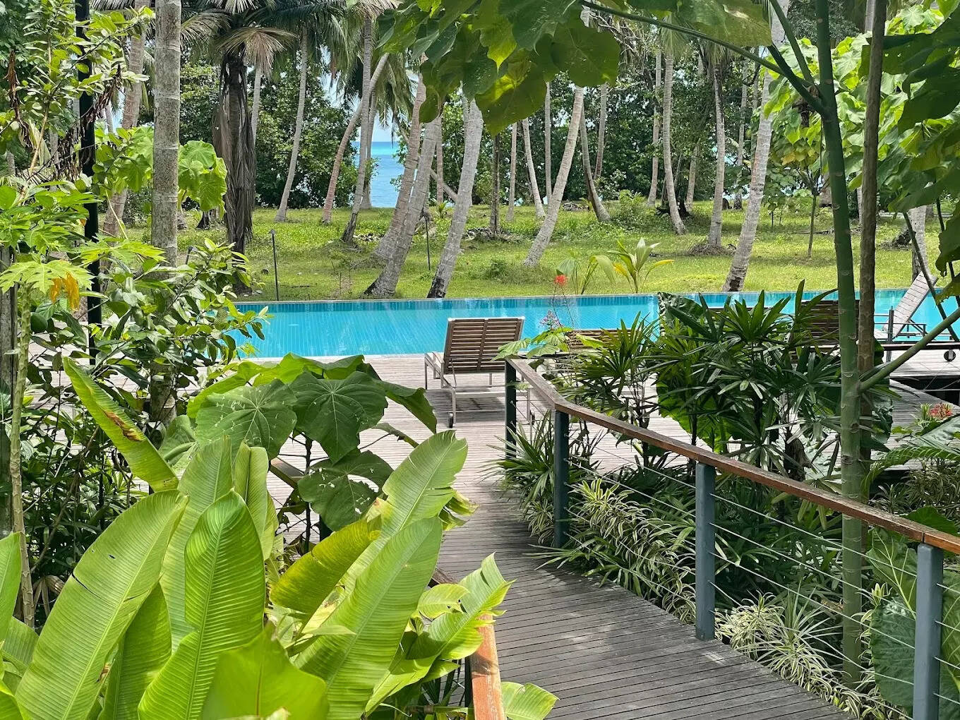Tiller Siro Andaman Havelock Island