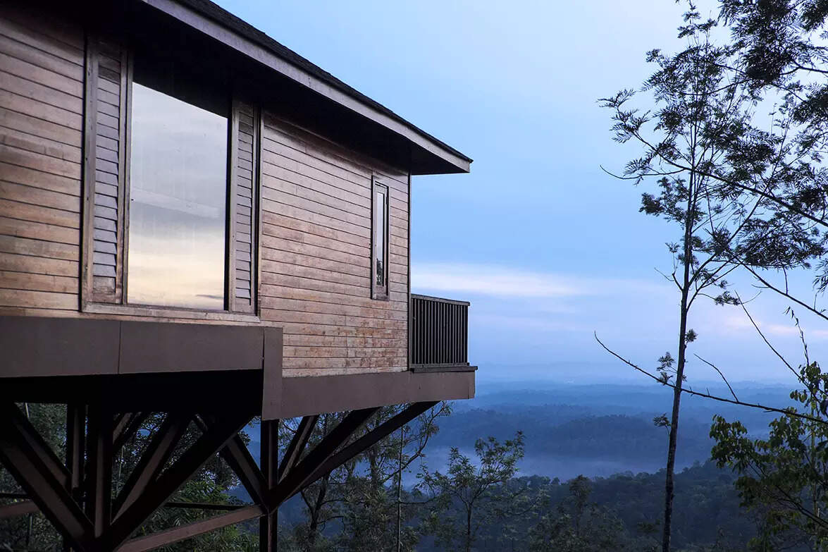 Tamara Coorg Coorg