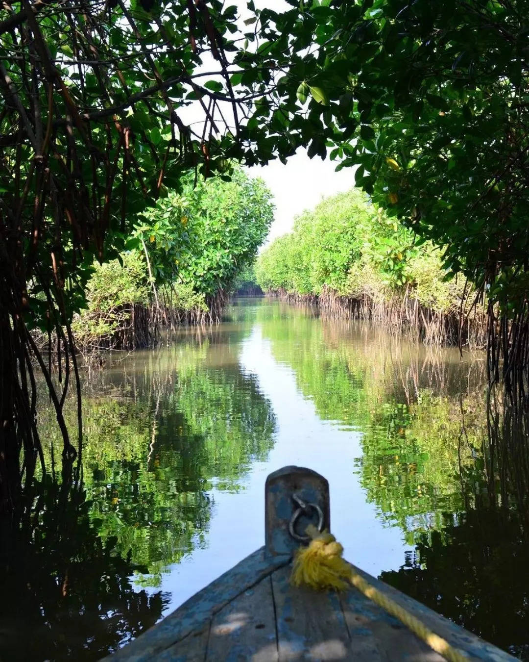 பிச்சாவரம் 