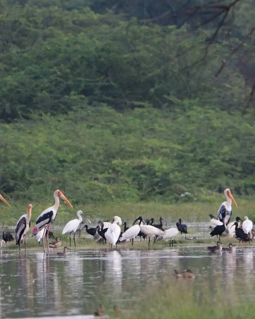 தொந்தரவு 