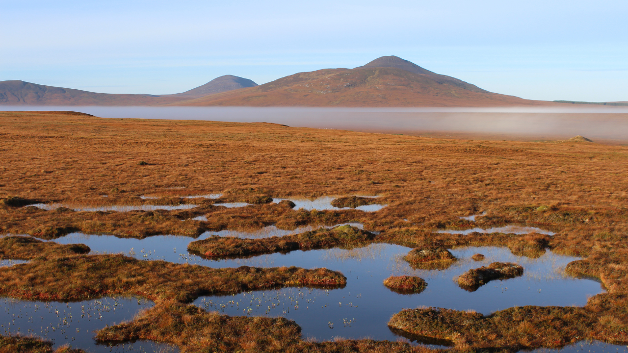 The Flow Country Scotland