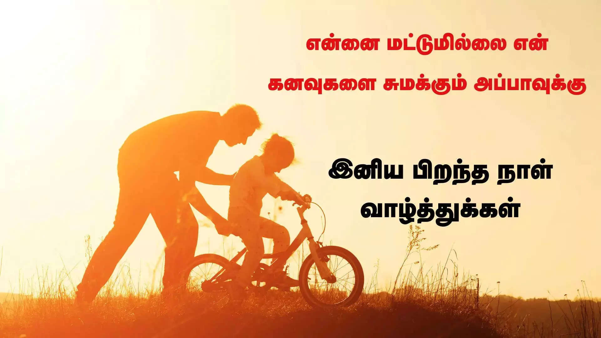 என்னை மட்டுமில்லை என் கனவுகளை சுமக்கும் என் அப்பாவுக்கு இனிய பிறந்த நாள் வாழ்த்துக்கள் 