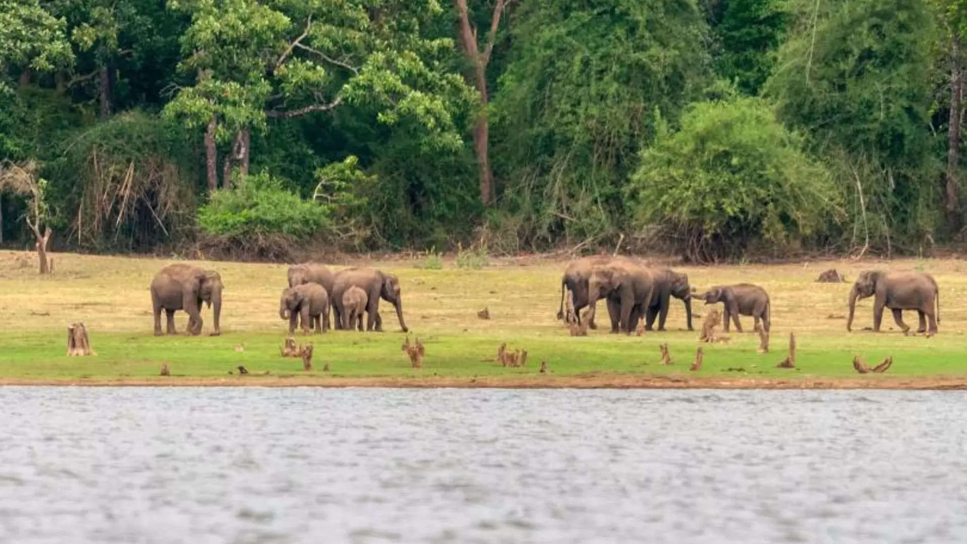 ಕಬಿನಿ