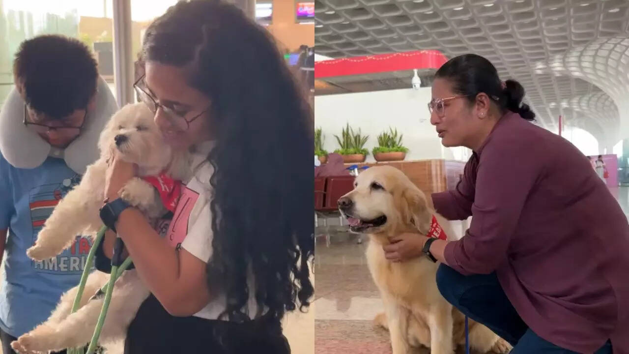 Pawfect Initiative at Mumbai Airport