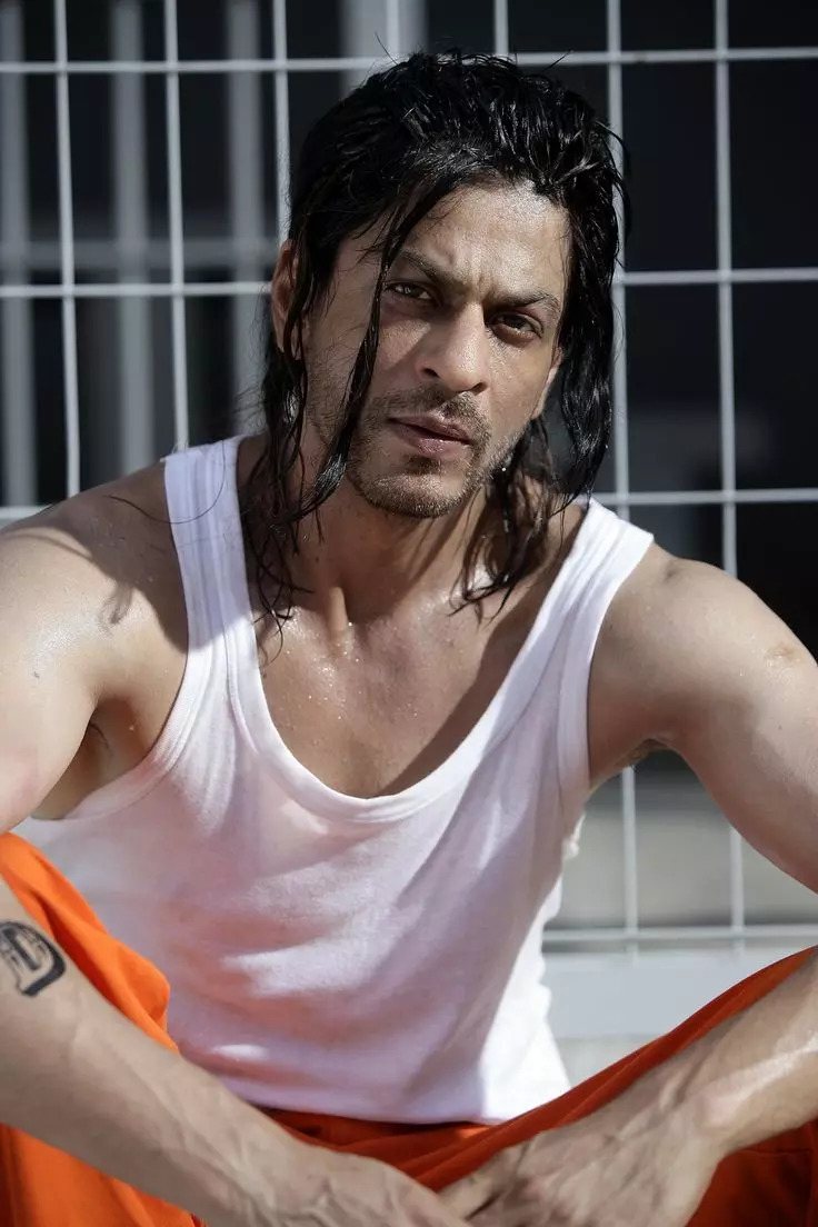 Don 2 2011