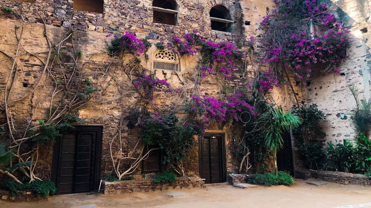 Neemrana Fort Credit Canva Neemrana Fort Credit Canva