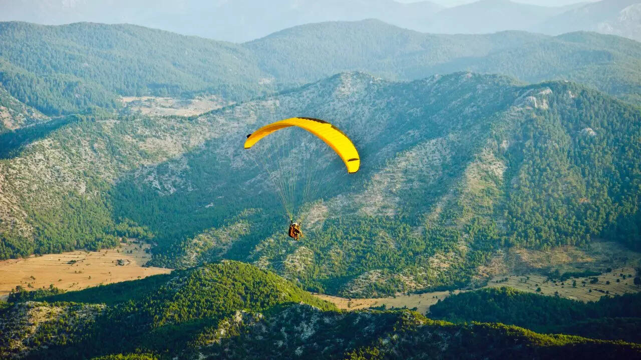 bir billing credit canva bir billing credit canva