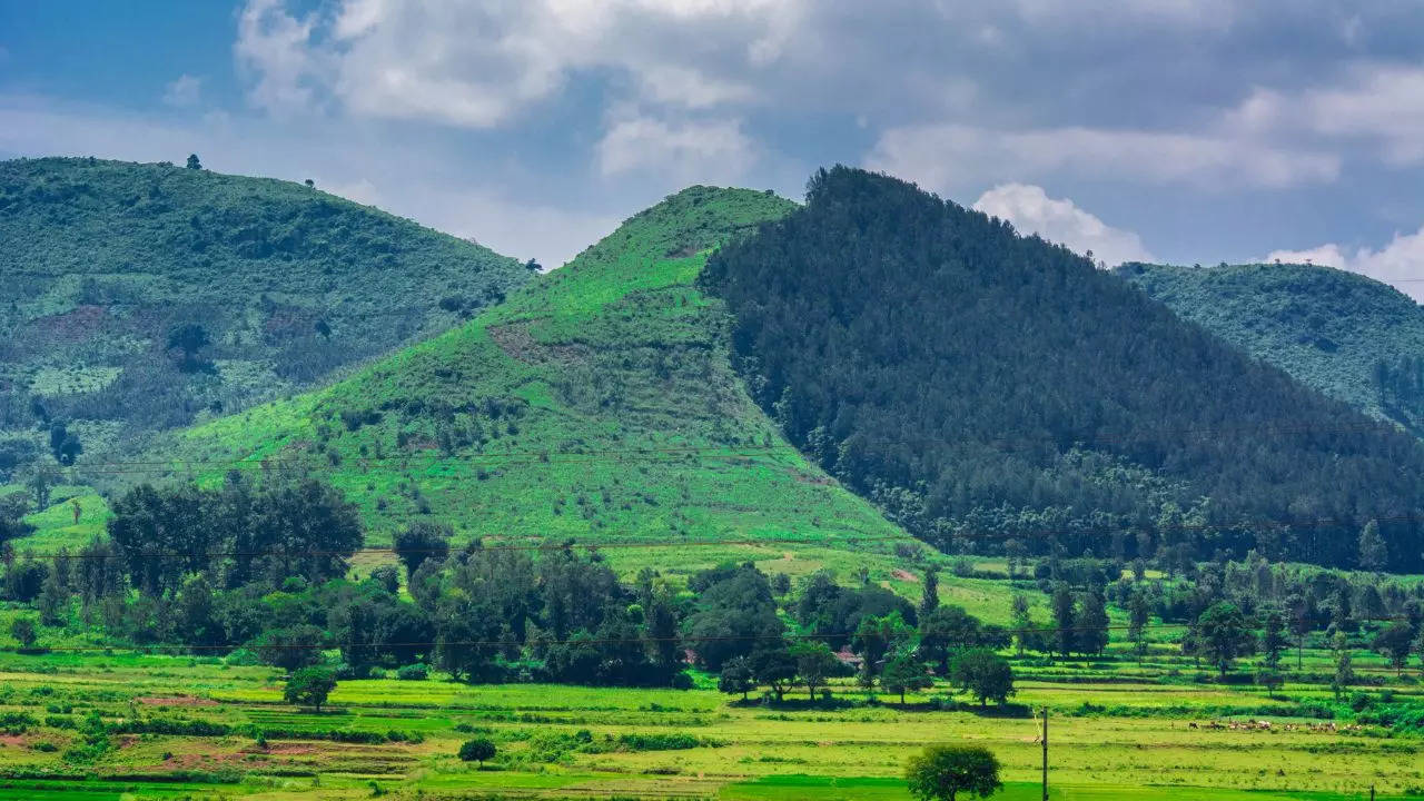 Araku Valley Andhra Pradesh Credit Canva