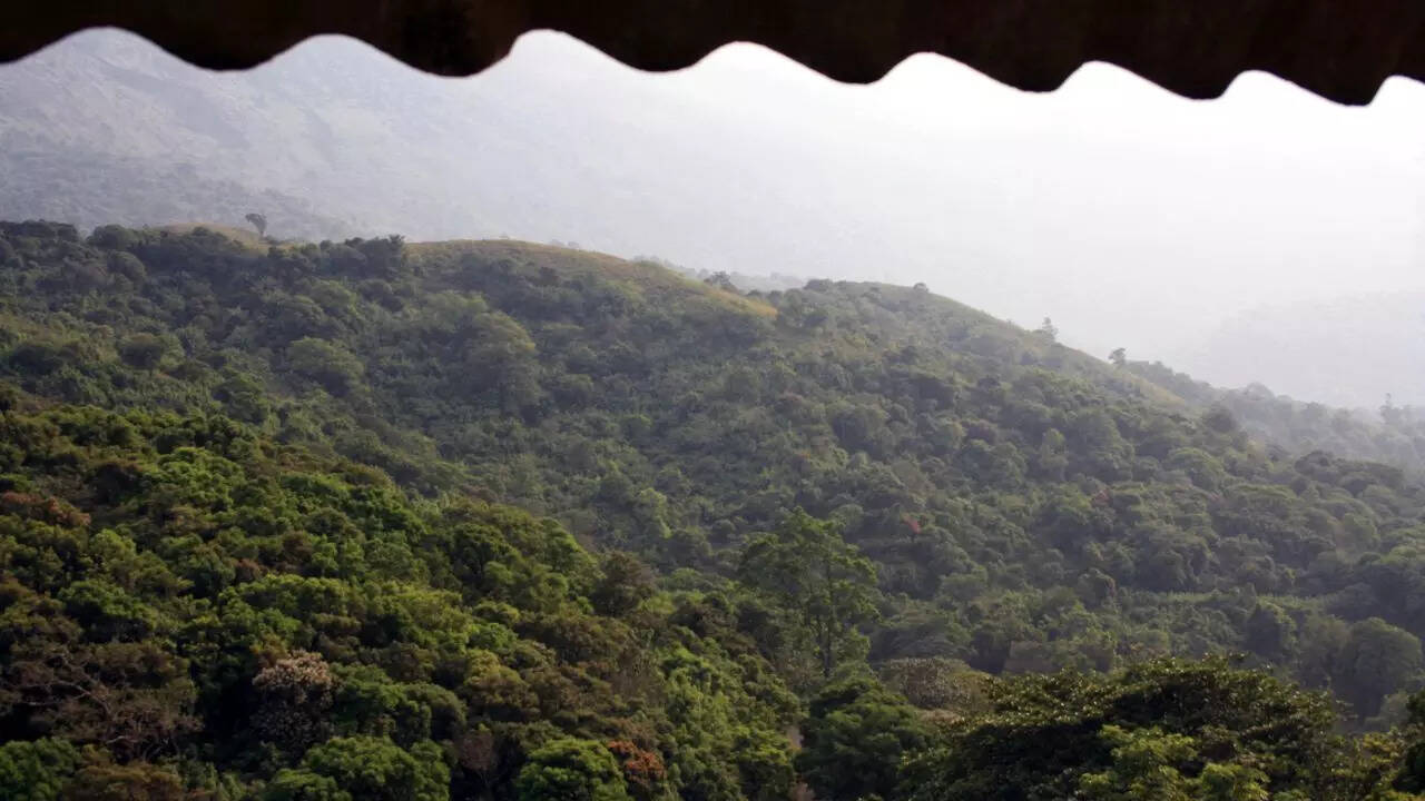 Silent Valley Kerala Credit Canva