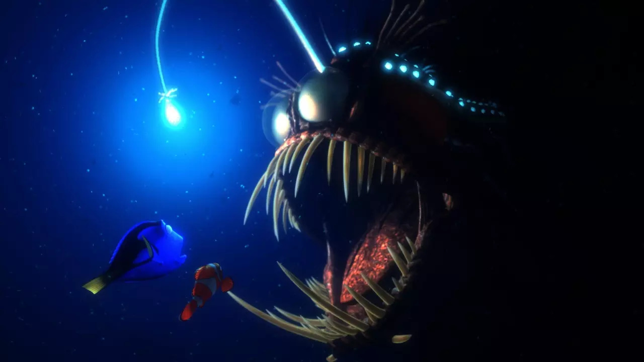 However these ocean-floor dwellers are distinctly-recognisable and made famous by the film Finding Nemo