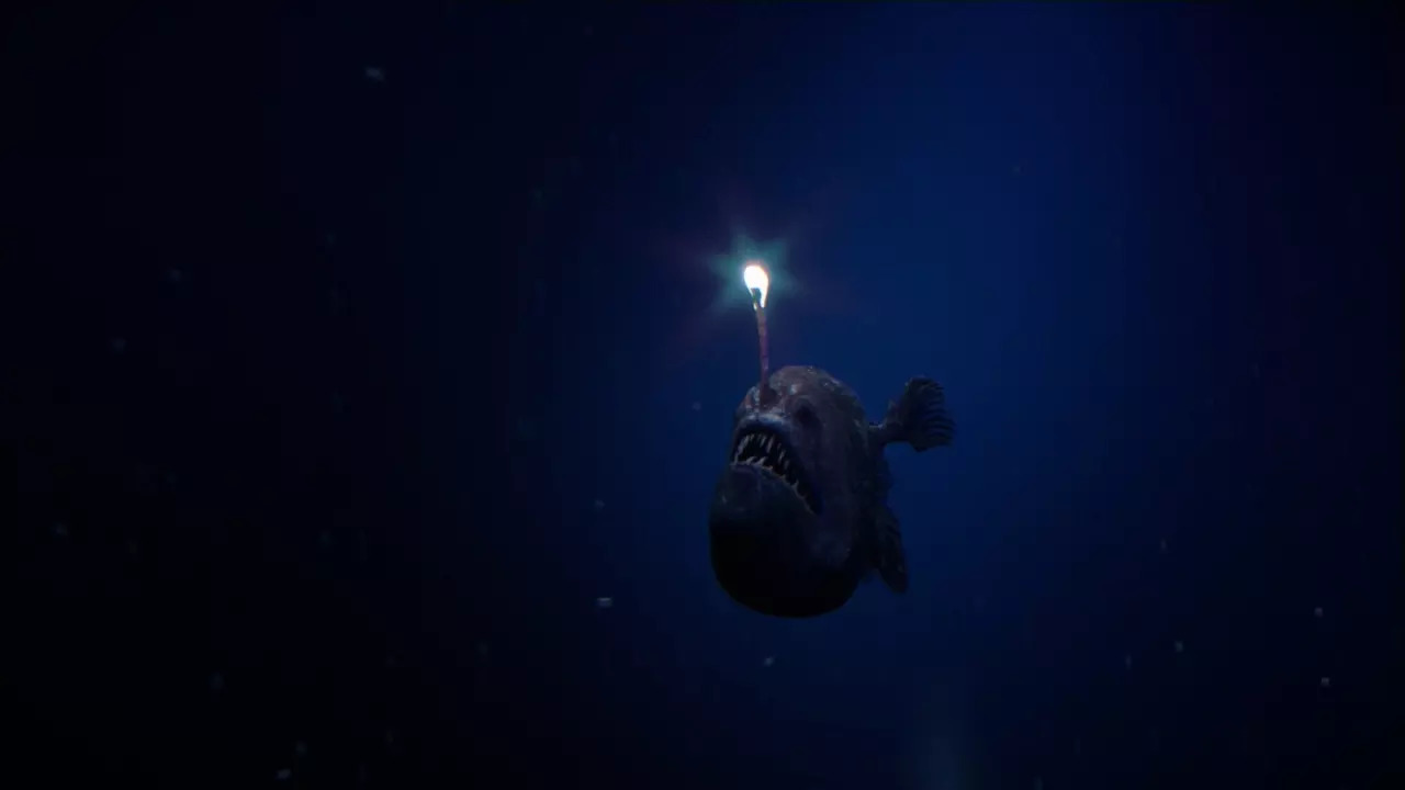 This predatory fish has a distinct glowing lure that uses bioluminescence to attract prey