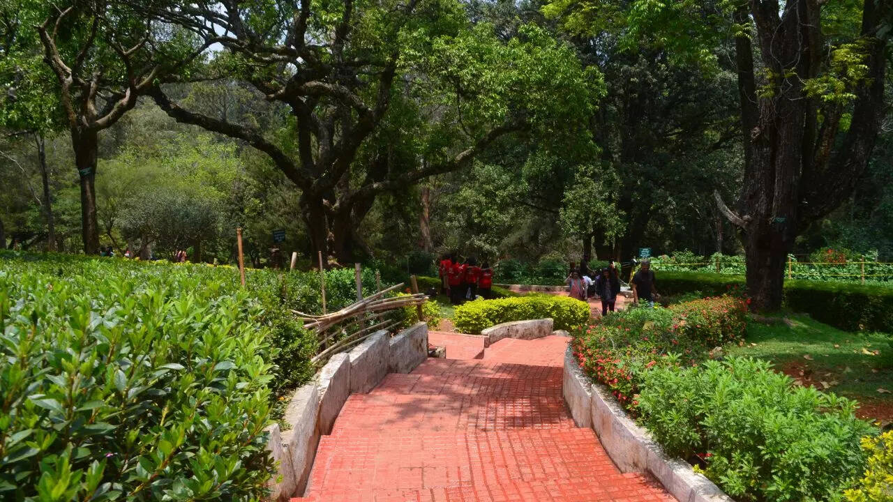 Coonoor Image File photo of Canva Coonoor Image File photo of Canva