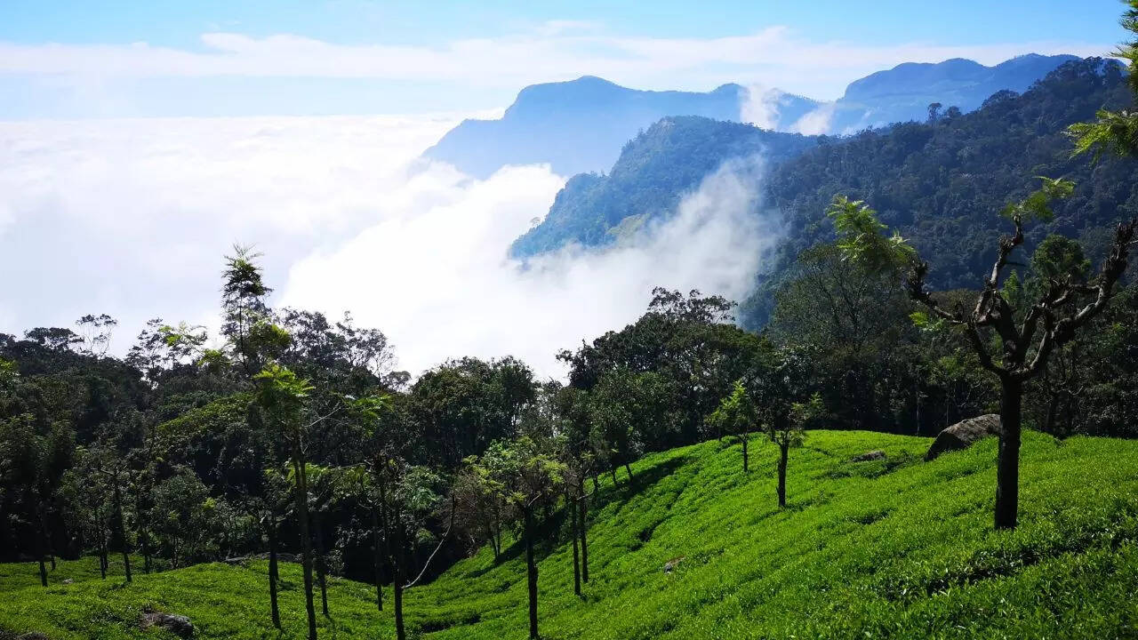 Coonoor Image File photo of Canva Coonoor Image File photo of Canva