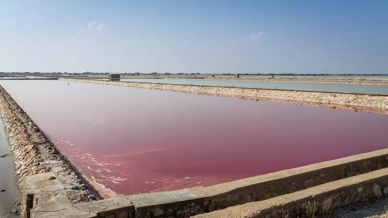 salt mining in sambar credit canva