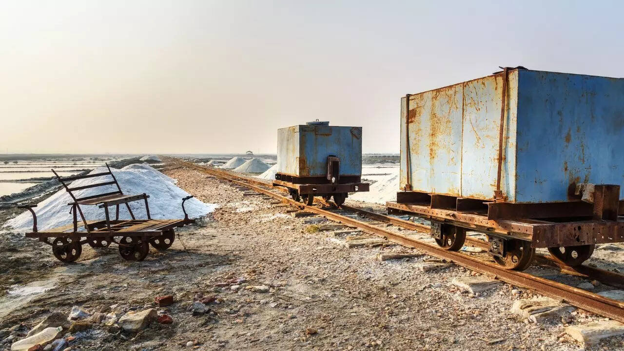 Salt trains Credit Canva