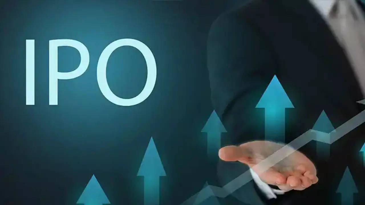 नीलम लिनन्स आणि गारमेंट्स IPO