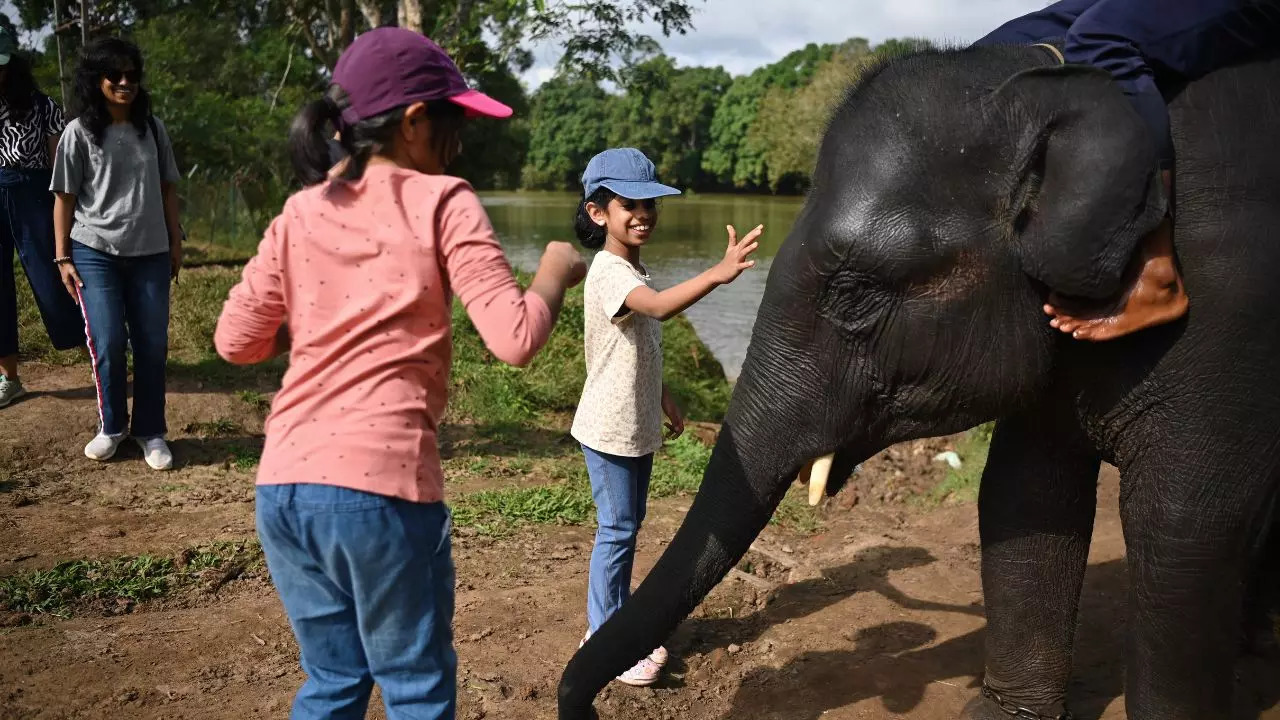 Dubare Elephant Camp