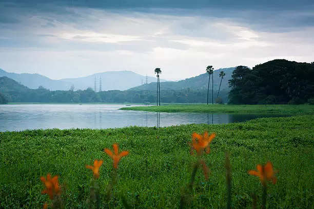 पवई तलाव