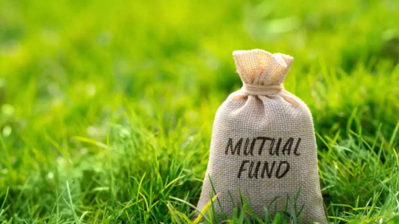 Mutual Funds That Provided Negative Returns