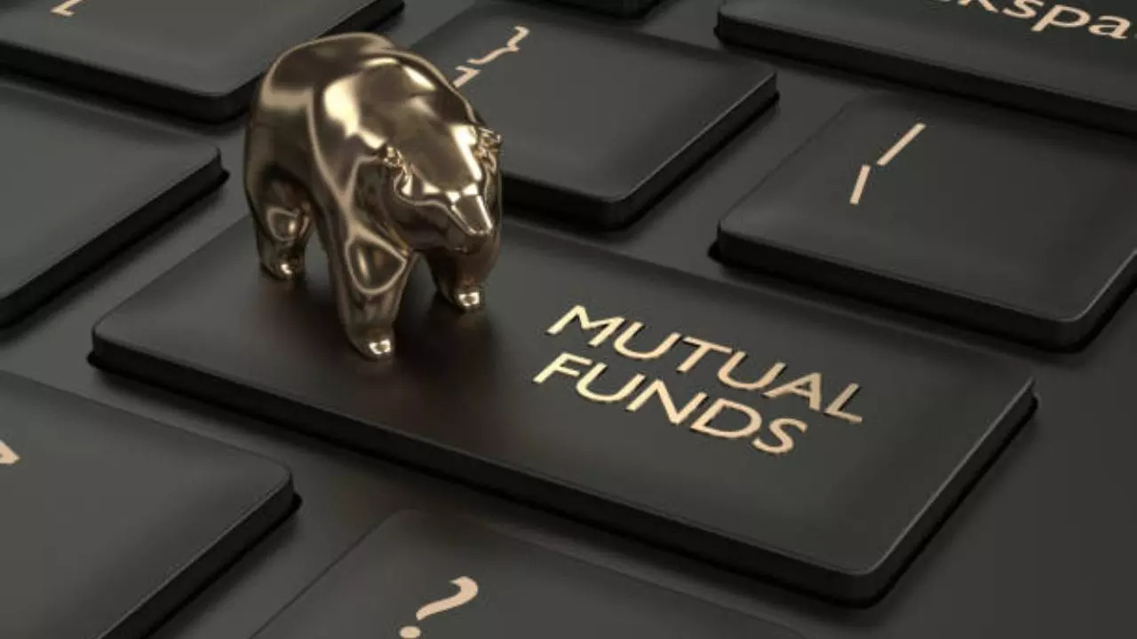 Mutual Funds That Offered Negative Returns