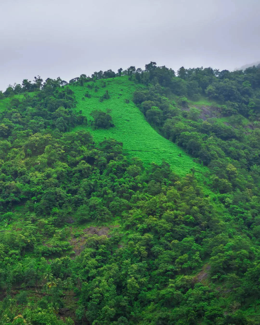 ವಾಗಮನ್ ಗಿರಿಧಾಮ