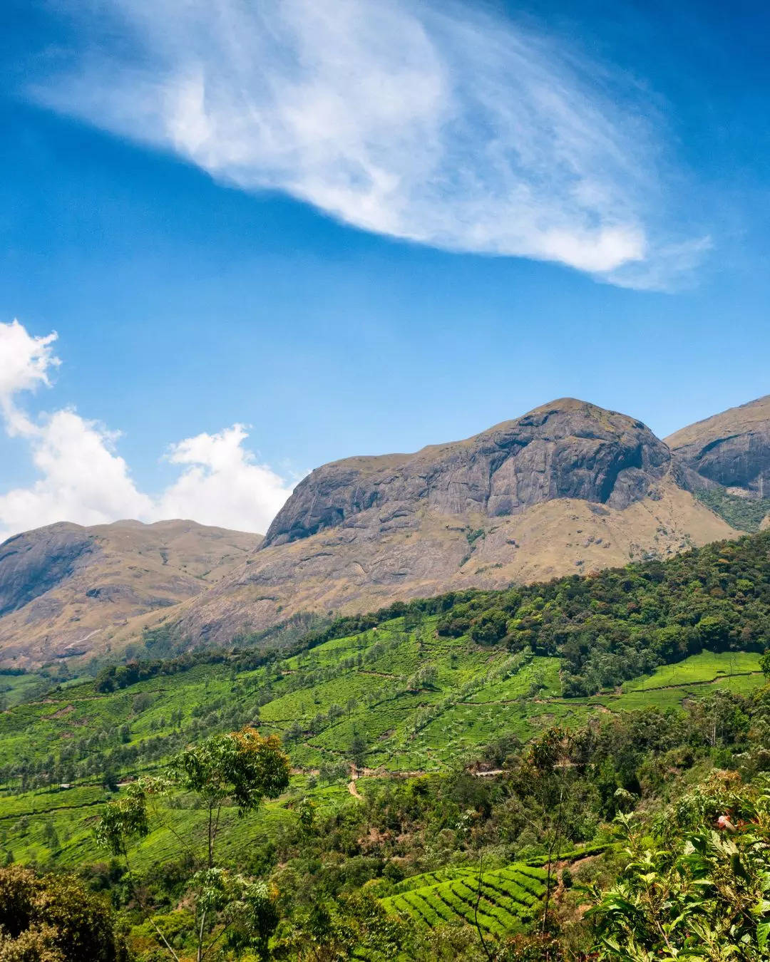 ಆನೆಮುಡಿ ಅಥವಾ ಆನೈಮುಡಿ