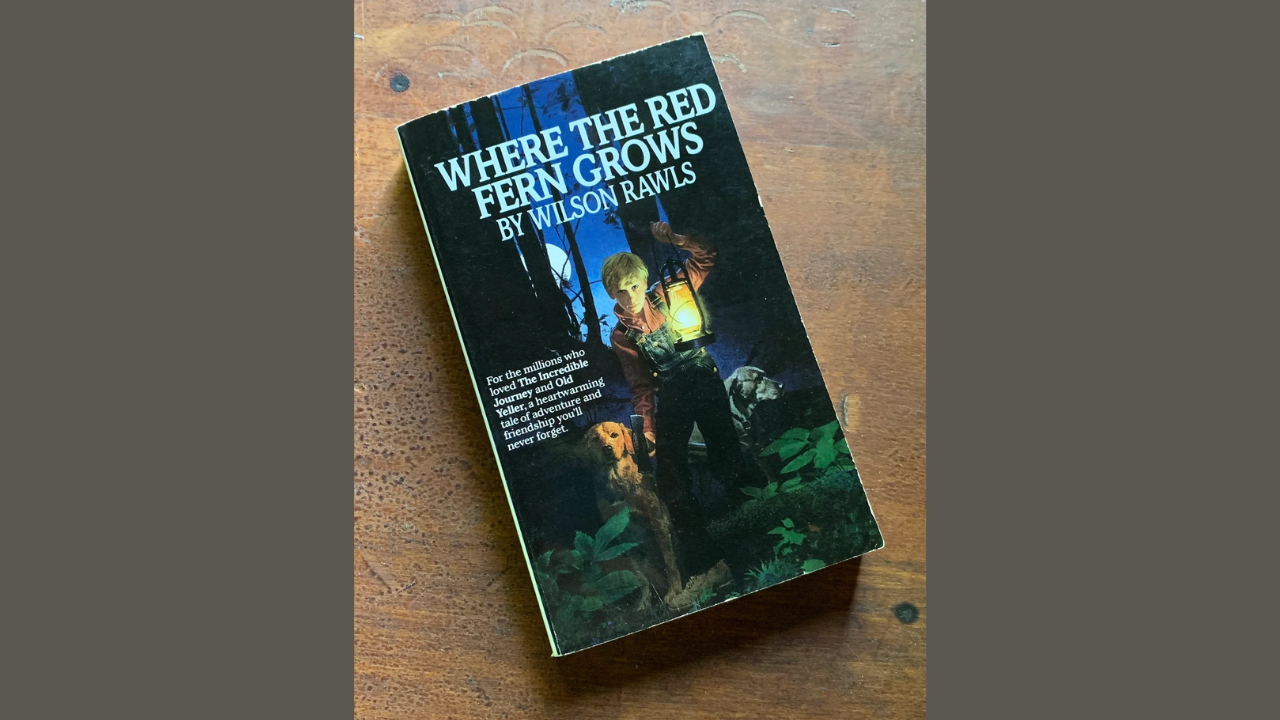 Where the Red Fern Grows by Wilson Rawls