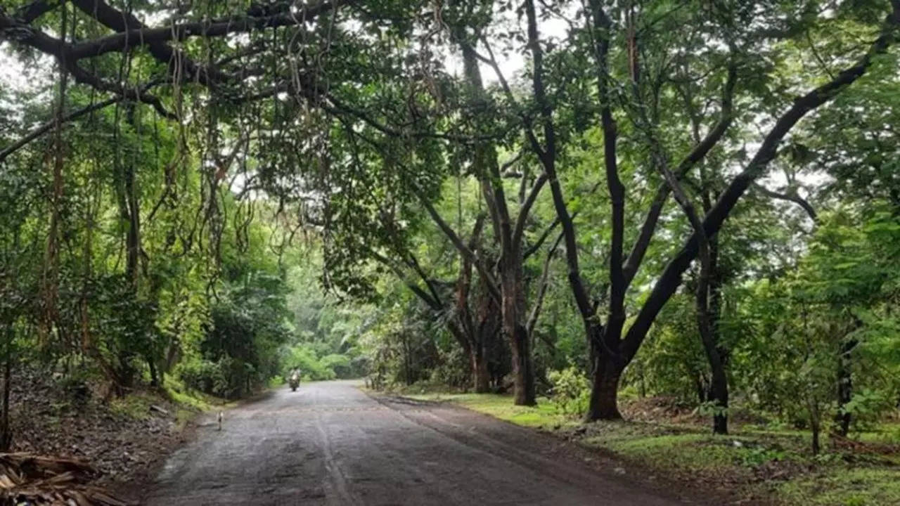 संजय गांधी राष्ट्रीय उद्यान 