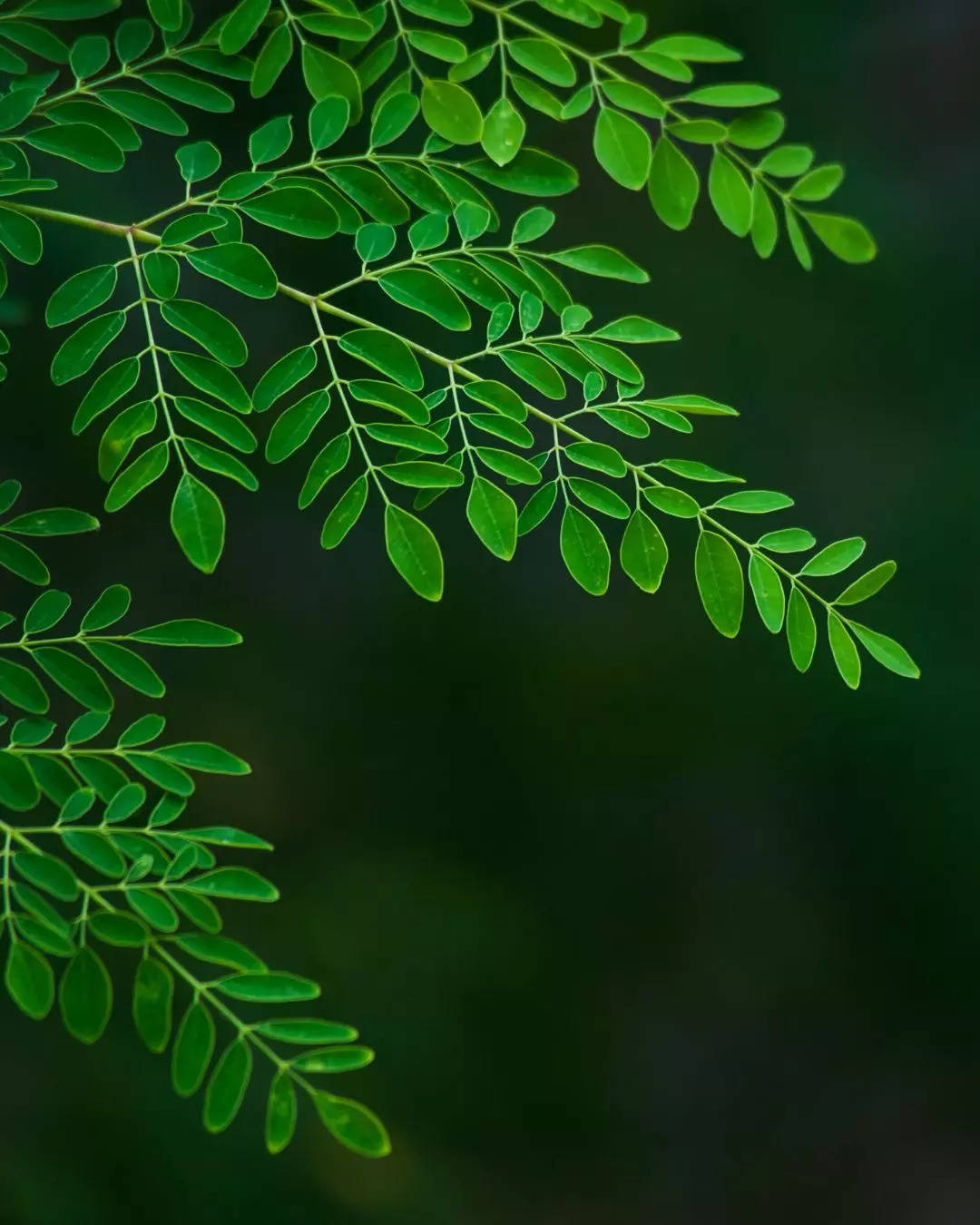 ಯಕೃತ್ತಿಗೆ ಒಳ್ಳೆಯದು