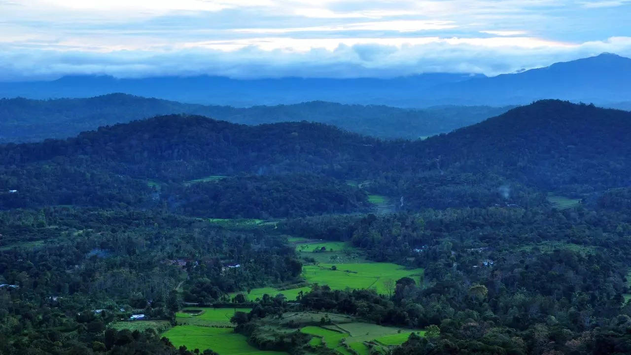 രാജാസ് സീറ്റ്