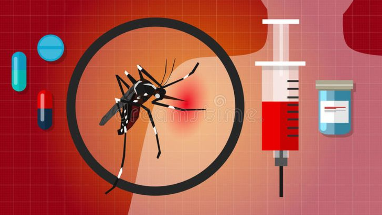 डेंग्यू मलेरिया आणि चिकनगुनिया या तिघांमधील फरक कसा ओळखावा  