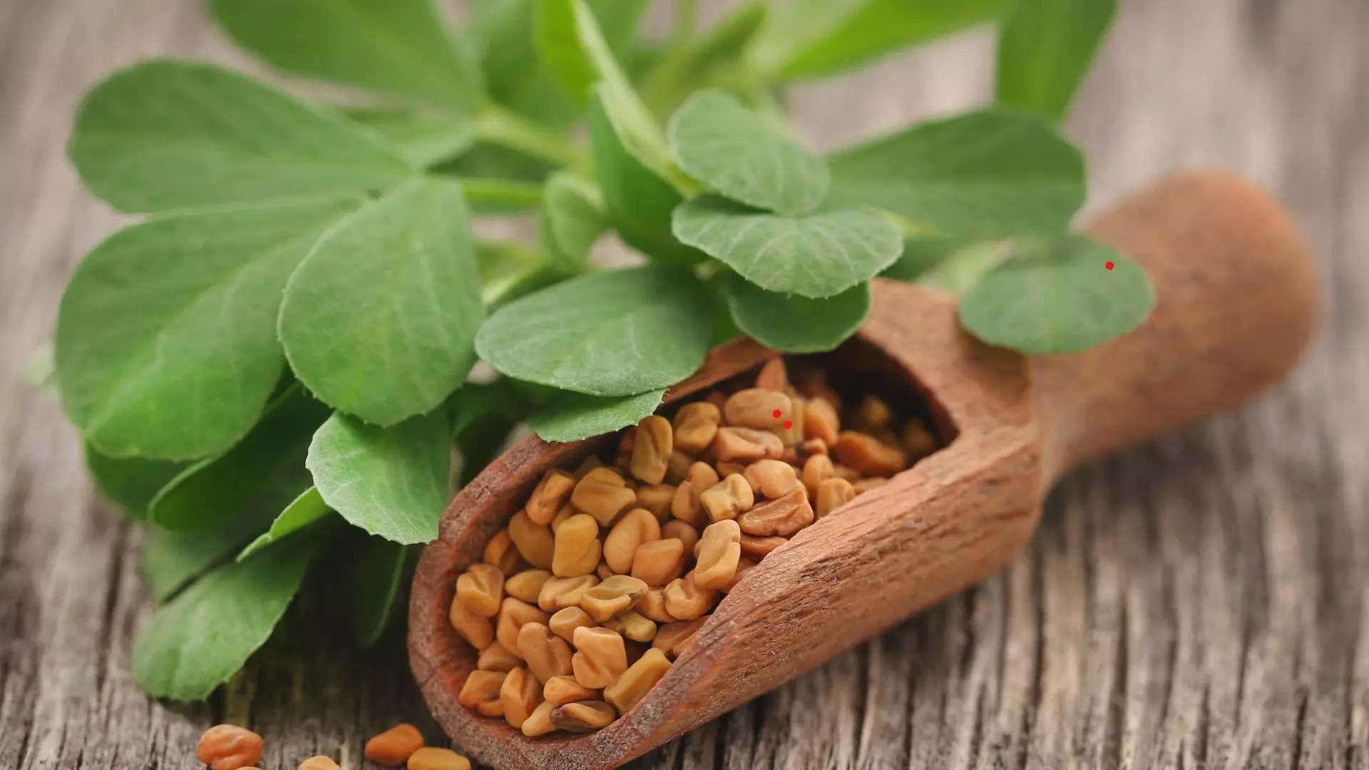 ಮೆಂಥ್ಯಾ Fenugreek Seeds