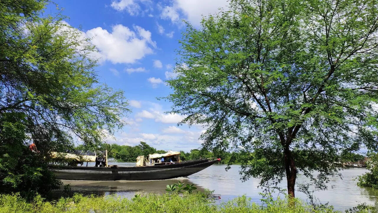 You can explore the Sundarbans, one of the largest mangrove forests in the world, with Antara Cruises