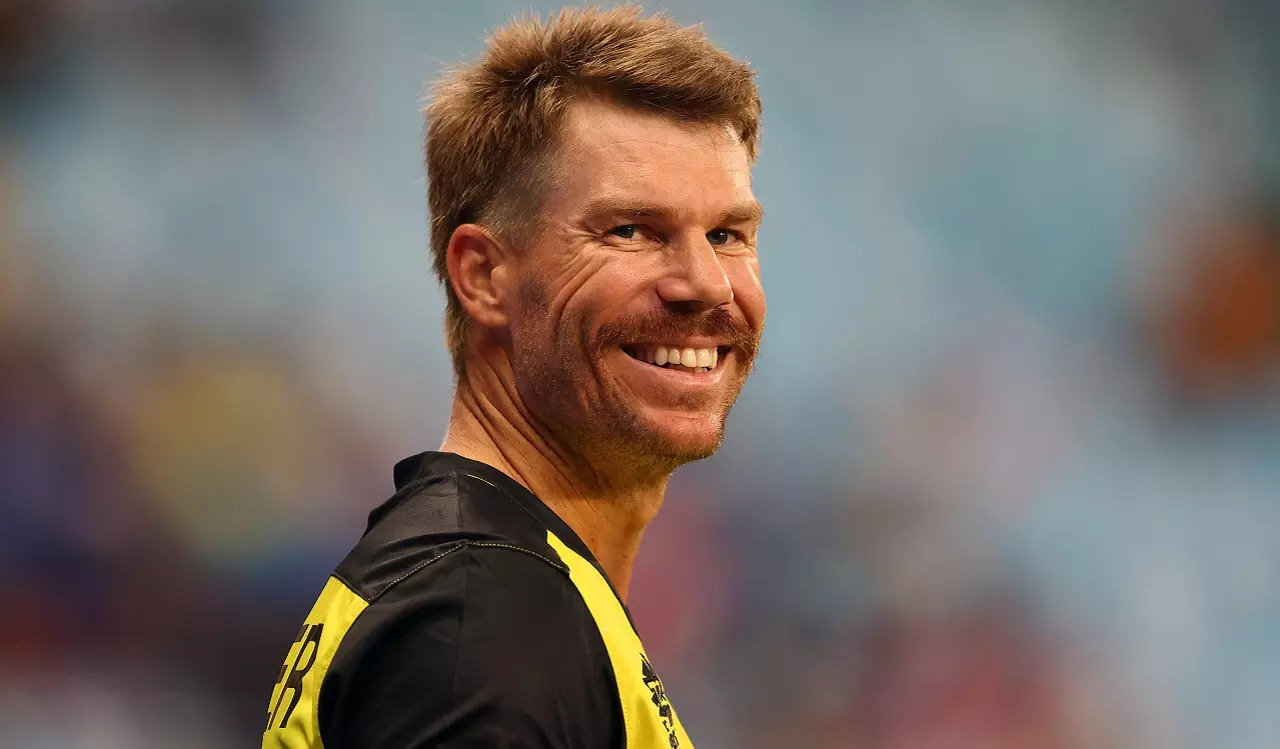 strongDavid Warner strong