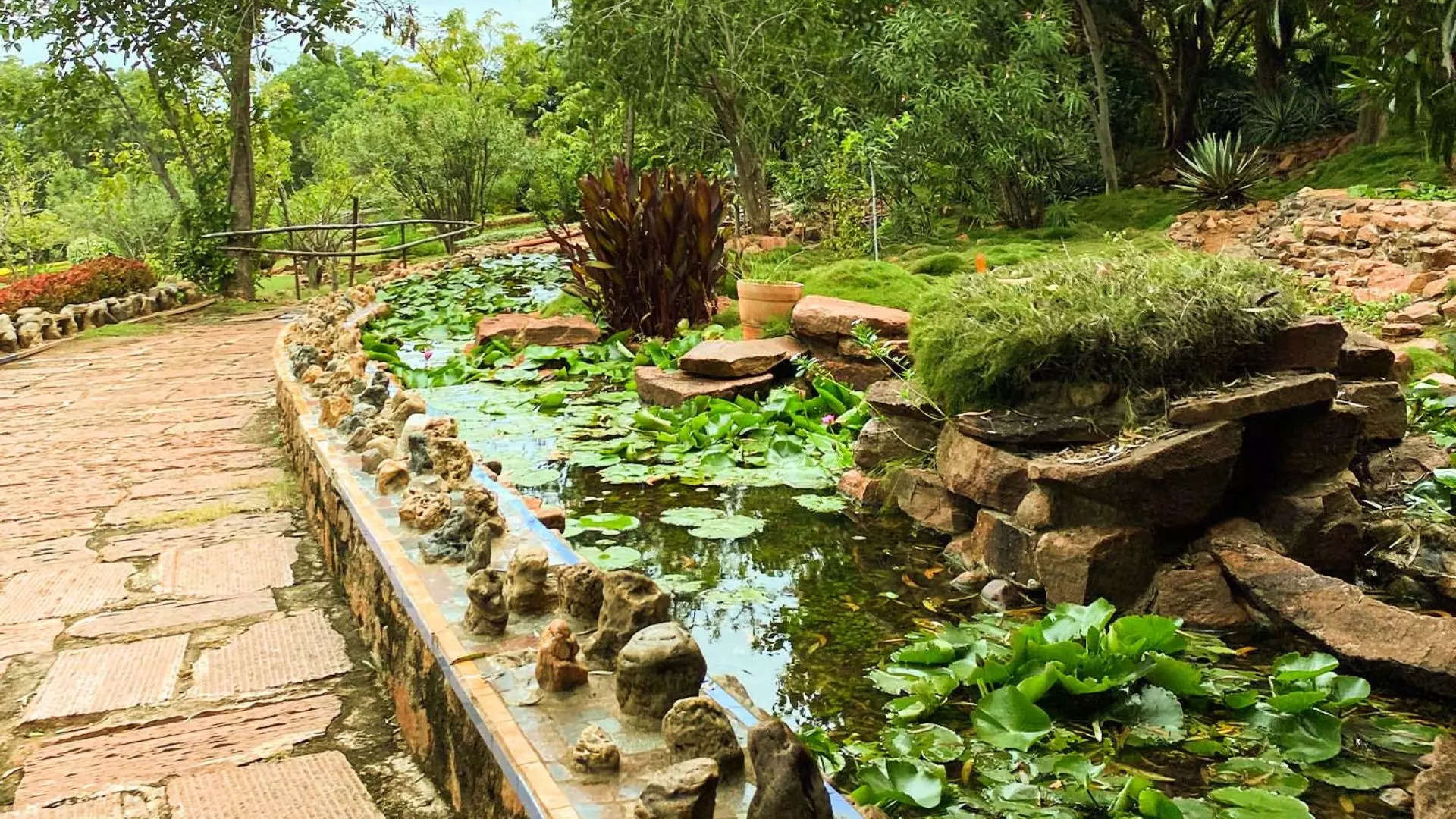 ಬೃಹತ್ ನೀರಿನ ಕೊಳ