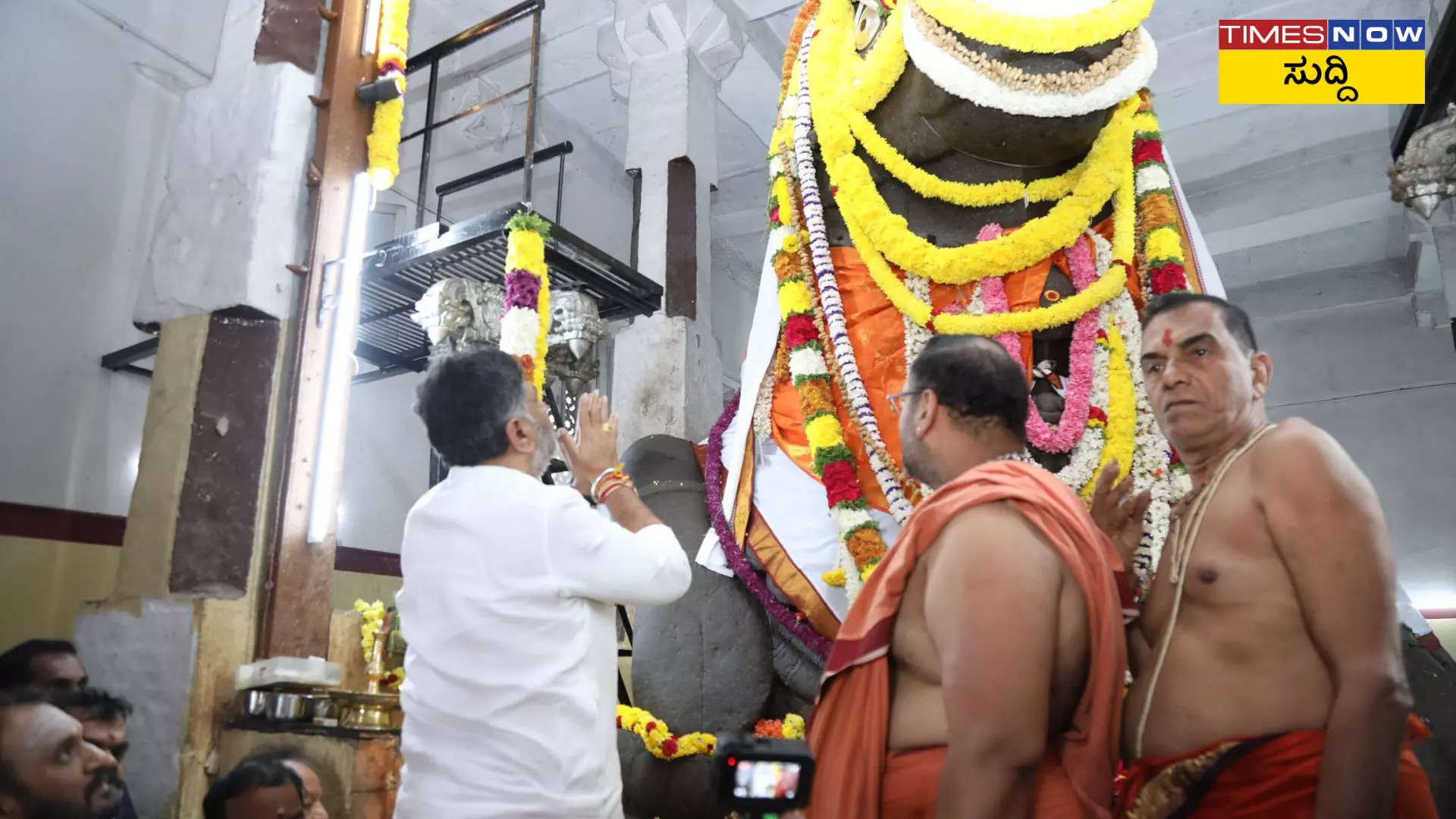 ಹೆಬ್ಬೆಟ್ಟು ಗಾತ್ರದ ಕಡಲೆಕಾಯಿ ನೋಡಿದ್ದೆ