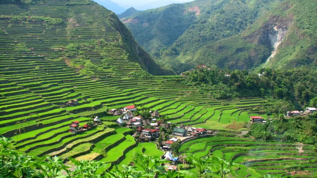 Tegalalang Rice Terraces