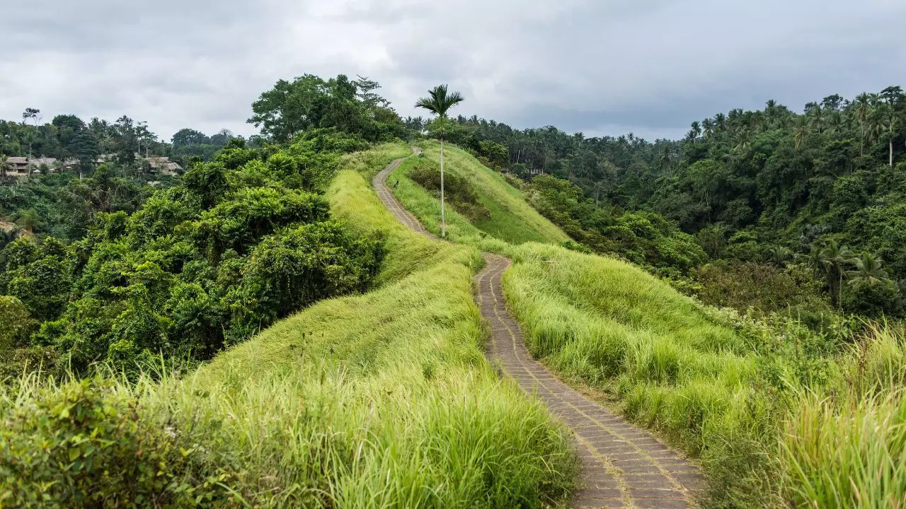 Campuhan Ridge Walk