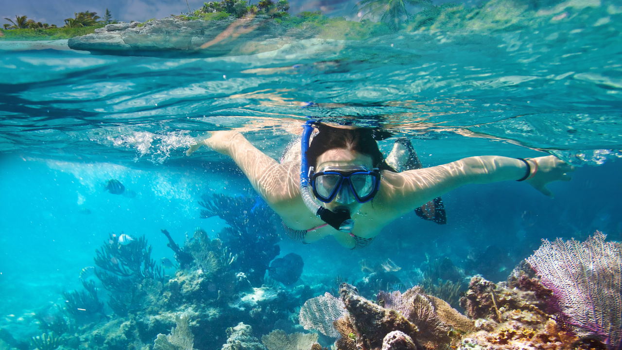 Snorkeling