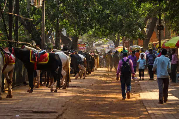 माथेरान 80 किमी