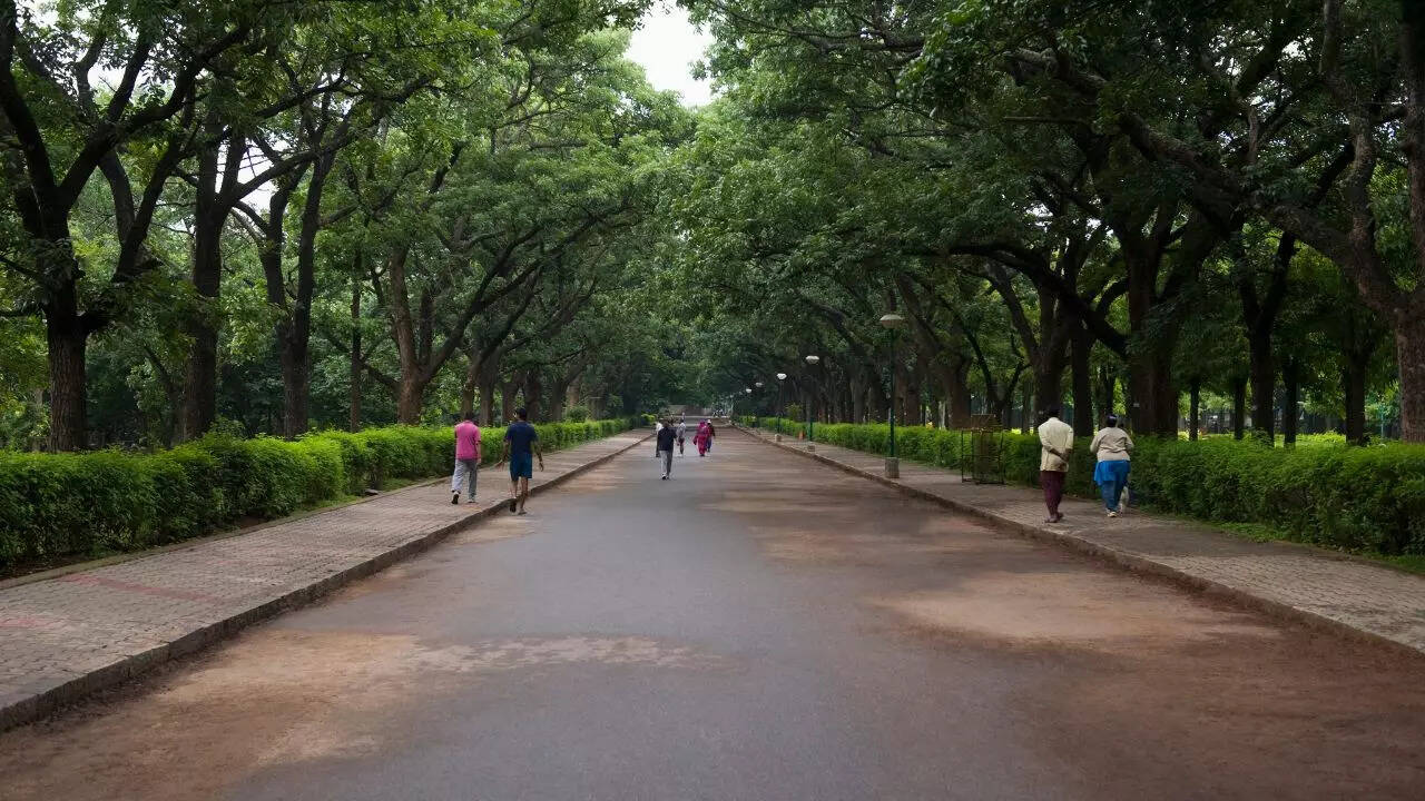 Cubbon Park Credit Canva