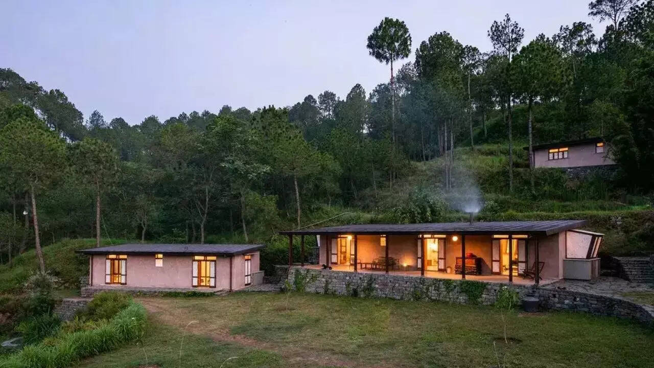 Amaya Kasauli Amaya Kasauli