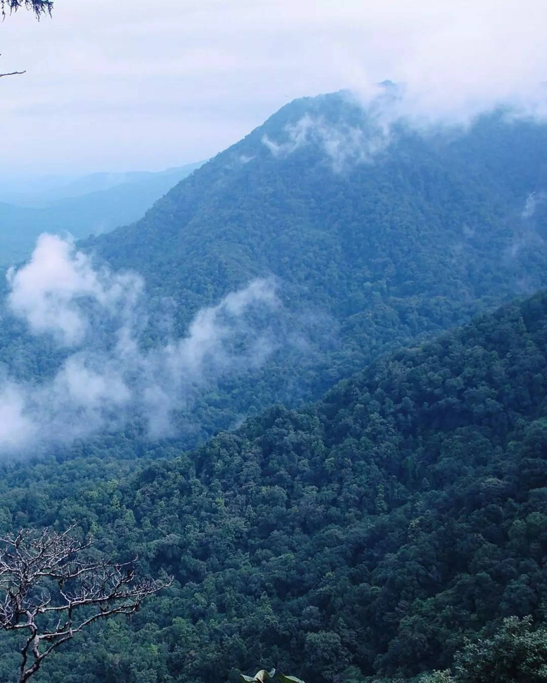 ದಕ್ಷಿಣದ ಚಿರಾಪುಂಜಿ ಆಗುಂಬೆ