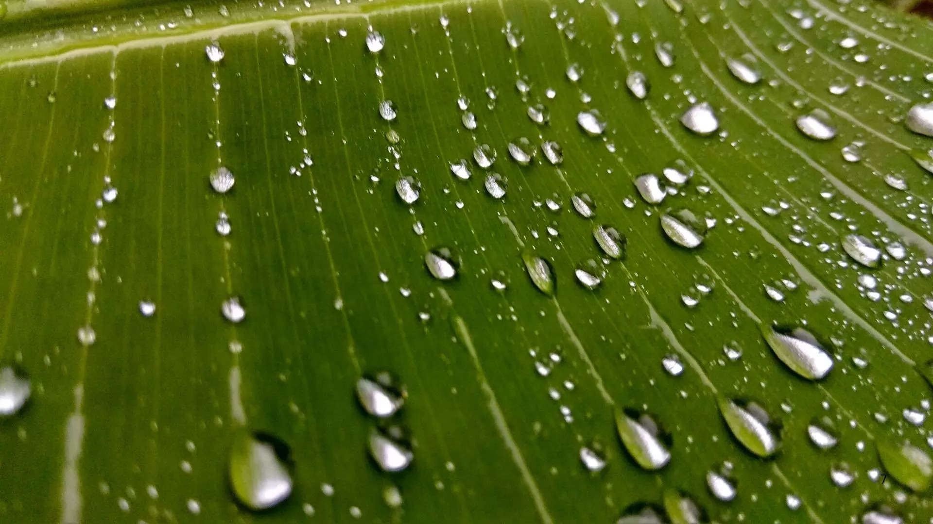 ಜೀರ್ಣಕ್ರಿಯೆಗೆ ಉತ್ತಮ