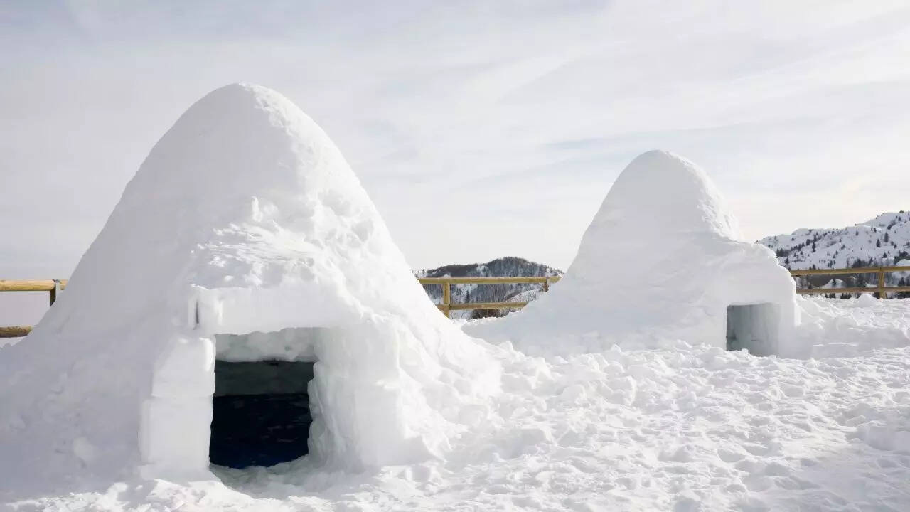 Igloo Stay in Manali Image Canva Igloo Stay in Manali Image Canva