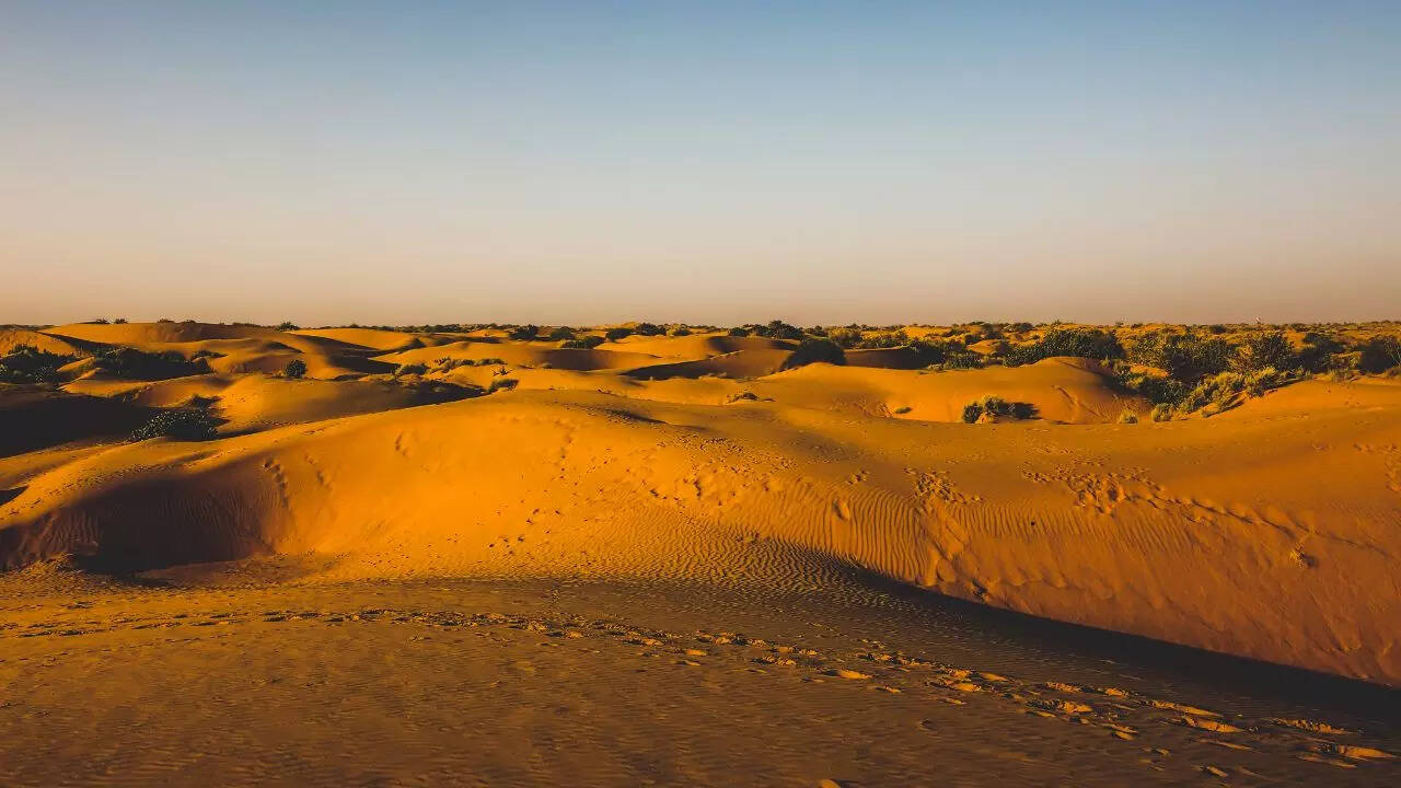 Thar Desert Jaisalmer Thar Desert Jaisalmer
