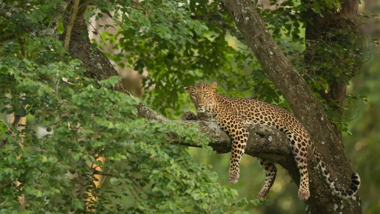 Credit Arvind Ramamurthy