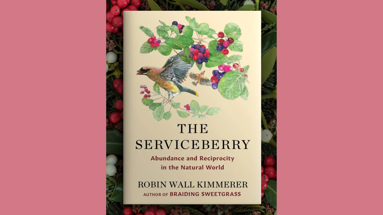 The Serviceberry Abundance and Reciprocity in the Natural World by Robin Wall Kimmerer John Burgoyne Illustrator