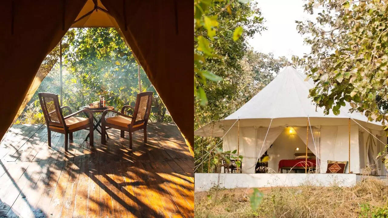 Jamtara Wilderness Camp Pench National Park